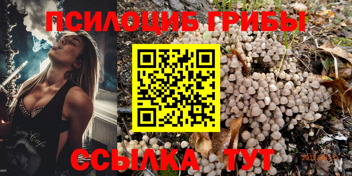 цены   Галлюциногенные грибы Psilocybine cubensis  Вход с VPN  Орск  Псилоцибиновые грибы Cubensis 