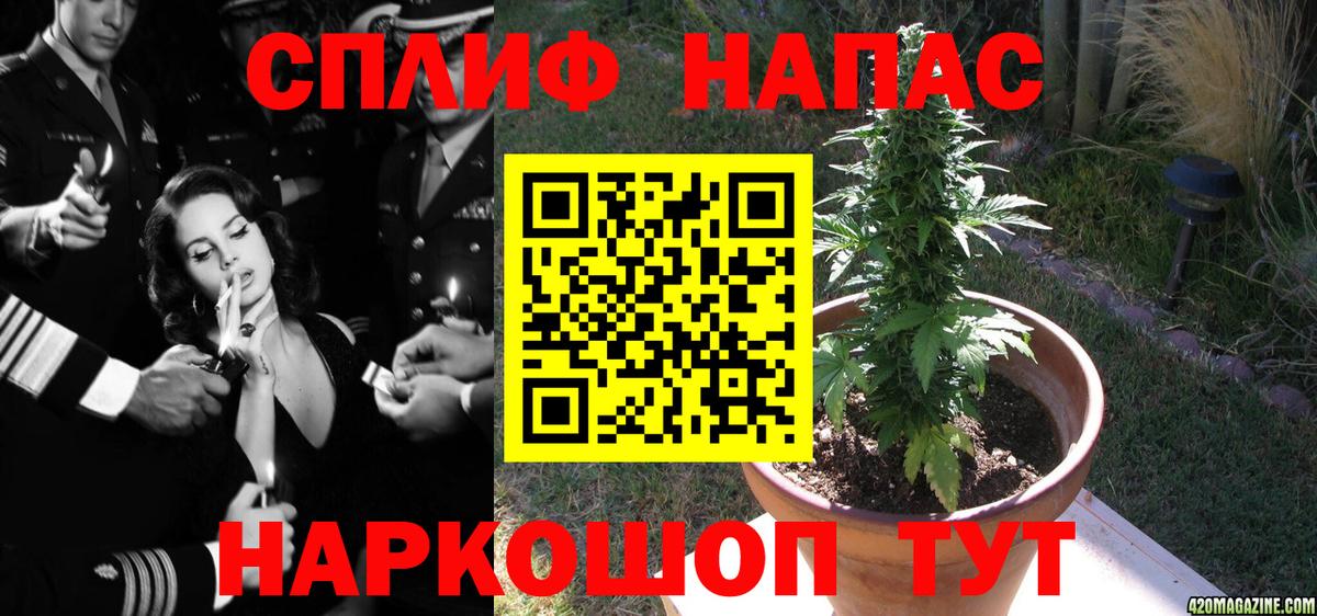 Бошки Шишки OG Kush  Бошки Шишки Ganja  Орск  Вход с VPN  Канабис THC 21%  МАРИХУАНА гибрид 